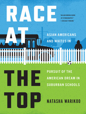 cover image of Race at the Top